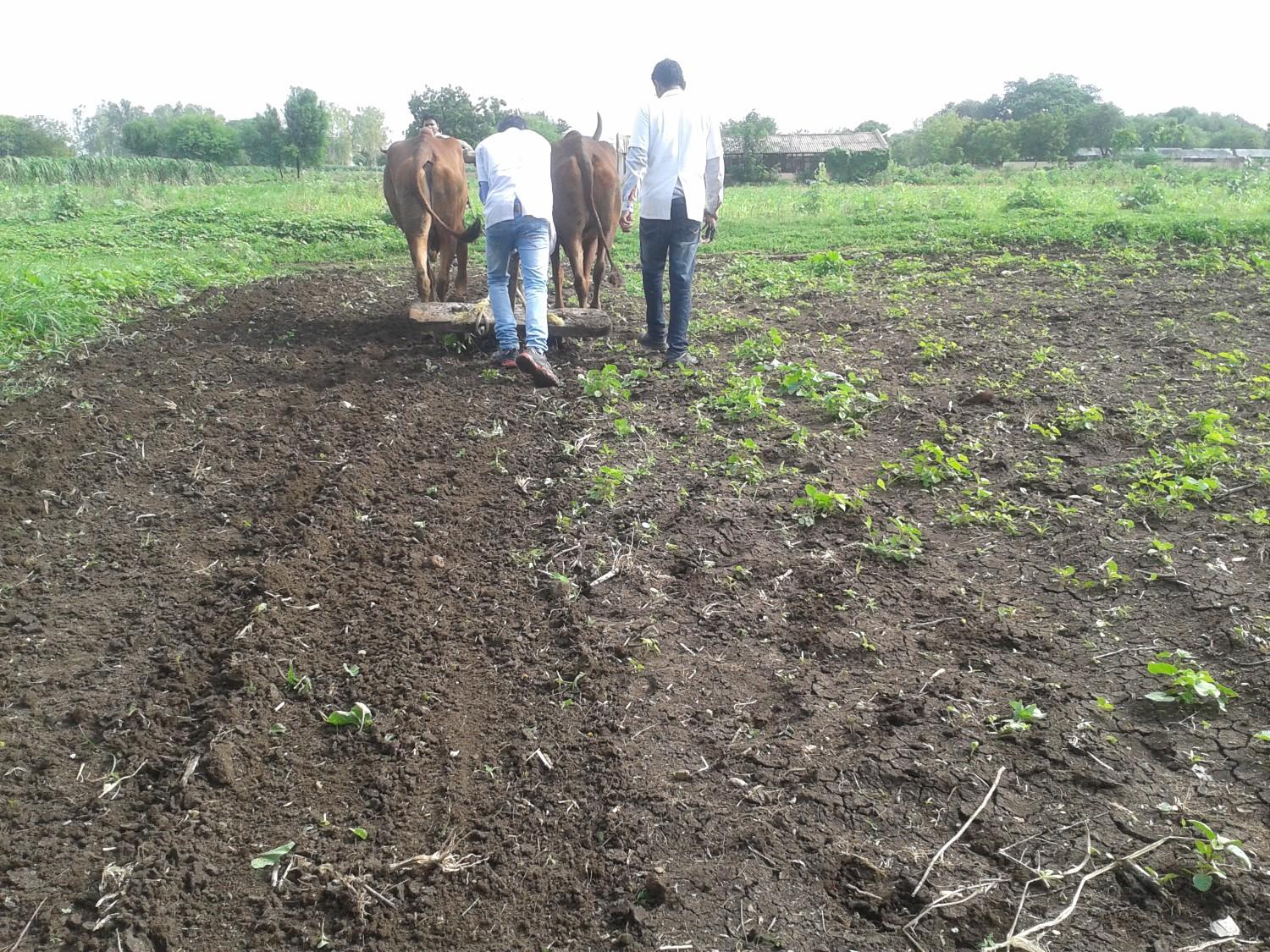 Students Performing Practical 7